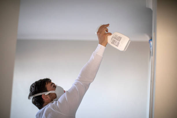 Mold Removal and Inspection in Newport East, RI