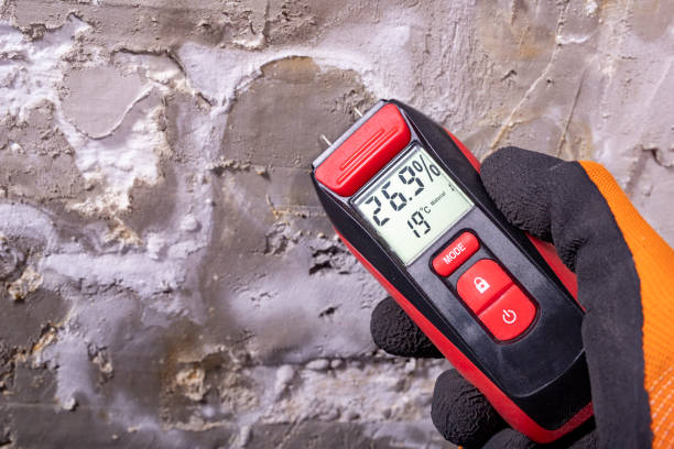 Best Mold Removal Process  in Newport East, RI