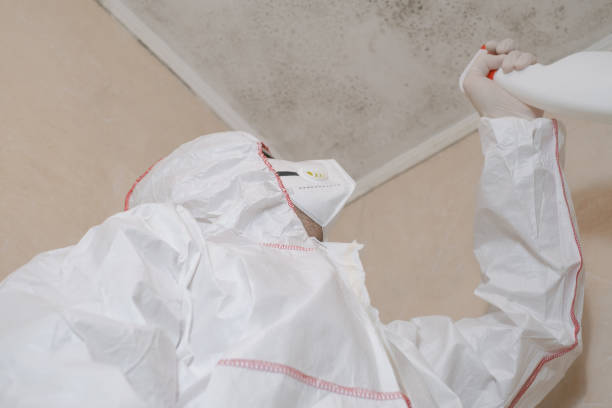 Best Crawl Space Mold Removal  in Newport East, RI