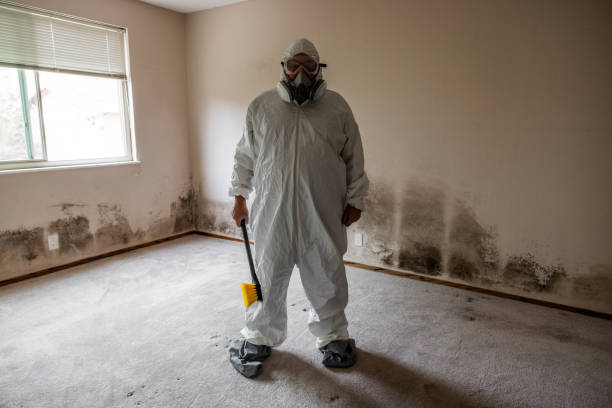 Best Commercial Mold Removal  in Newport East, RI